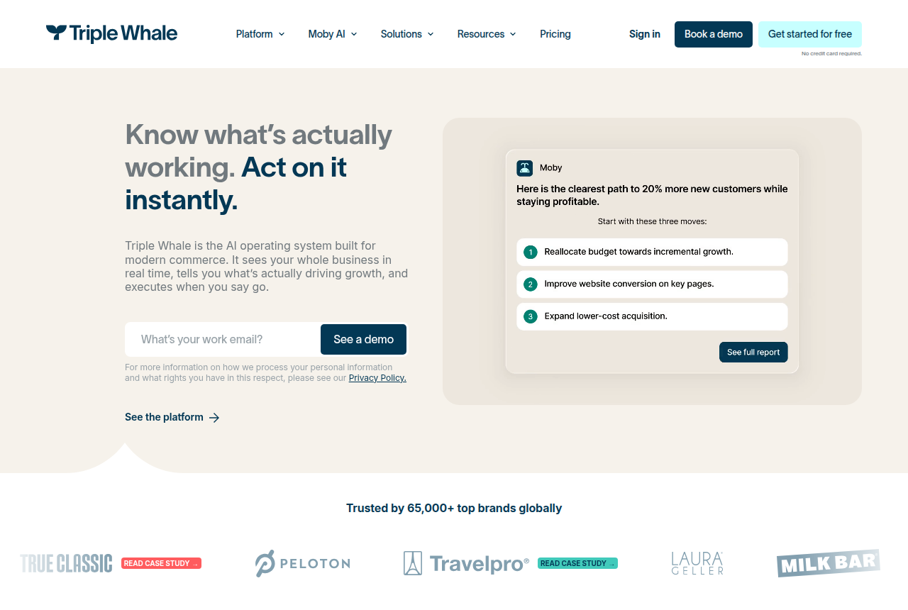 Triple Whale home page with the headline 'Know what's actually working. Act on it instantly.' and a Moby AI panel listing three recommended moves.